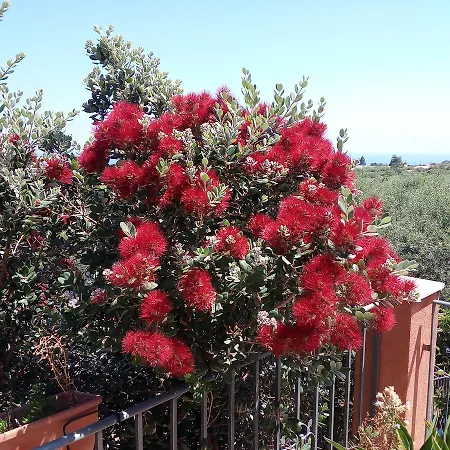 Bed & Breakfast Bragone Termini Imerese